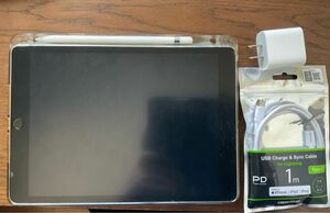iPad無印第9世代 Wi-Fiモデル 256GB +ApplePencil第1世代 ケース、充電器付き