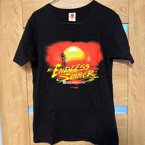 B'z LIVE-GYM Pleasure 2013 ENDLESS SUMMER ツアーTシャツ Lサイズ　稲葉浩志　松本孝弘