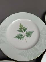 Noritake GRAND VERT Bone China 4622 皿 5枚 ノリタケ ボーンチャイナ プレート 食器 ブランド グランヴェール レリーフ_画像3