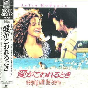 B00103329/LD/ジュリア・ロバーツ「愛がこわれるとき(1991)」