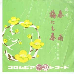 C00146367/EP/藤本二三吉「春雨/梅にも春」