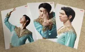  Lotte LOTTE xylitol Hanyu Yuzuru A4 прозрачный файл 3 шт. комплект не продается 