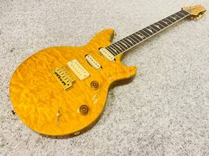 【メンテナンス済】Terry C. McInturff Guitars Zodiac / テリー マッキントフ ギターズ ゾディアック【月末限定価格】♪HG