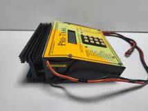 プロトラック バッテリー 充電器 PRO-TRAK BATTERY MANAGEMENT SYSTEM_画像3