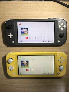 スイッチライト Switch Lite ２台　動作確認済み　2