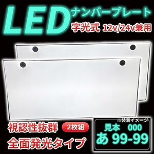 LEDナンバープレート 字光式 全面発光 12V 24V 兼用 2枚 セット 超高輝度 薄い 8mm 普通車 小型車 軽自動車 防水 装飾フレーム 電光 1台分