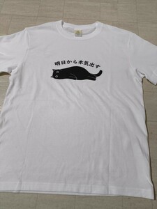 サイズ：M　未使用品　[Taka Shirt] 　猫Tシャツ明日から本気出す　かわいい猫 Tシャツ おもしろ 可愛い ねこ ネコ 半袖 猫柄　　