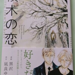 黒沢要「積木の恋」 凪良ゆう 原作