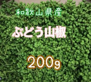 和歌山県有田産　　ぶどう山椒　200g