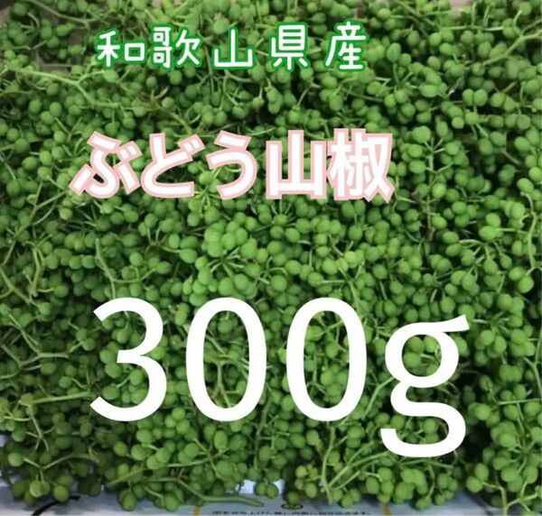 和歌山県有田産　ぶどう山椒　300g