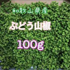 和歌山県有田産　ぶどう山椒　100g