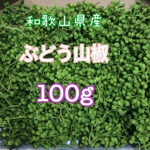 和歌山県有田産　ぶどう山椒　100g