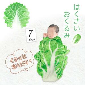  Chinese cabbage blanket blanket blanket SNS topic new bo-n Korea 