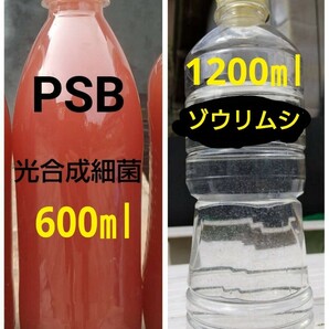 PSB(光合成細菌)600ml＆ゾウリムシ　1200ml　メダカやミジンコの餌　。 グリーンウォーター 金魚 クロレラ　めだか