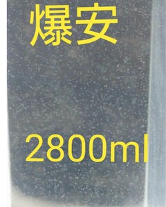 爆安特別価格！ゾウリムシ　2800ml　　メダカ　めだか　金魚　ミジンコの餌に…　