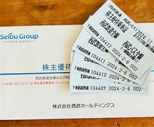 株主優待乗車証 西武鉄道 電車全線 西武バス 西武ホールディングス きっぷ