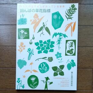 田んぼの草花指標