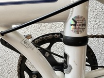 DAHON ダホン 折りたたみ自転車 SPEED P8 2013年モデル クラウドホワイト 室内保管 輪行バック付_画像9