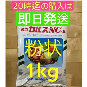 カルスNC-R 粉状1kg 2024年　4月製造分　