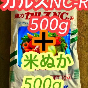 カルスNC-R こな状500g ＋米ぬ500ｇ 令和6年　4月製造