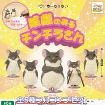 めーちっさい 威厳のあるチンチラさん アイピーフォー 【全５種フルコンプセット】 動物 アニマル グッズ フィギュア ガチャ [No.95665]_画像1