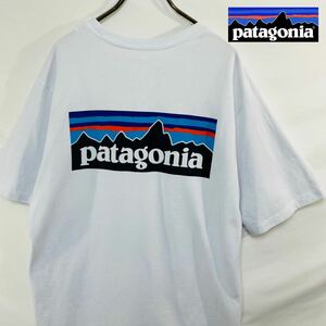 patagonia