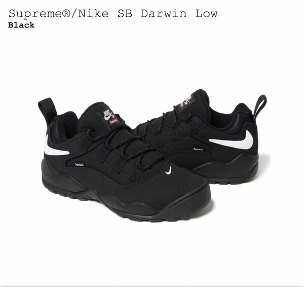 Supreme × Nike SB Darwin Low "Black"