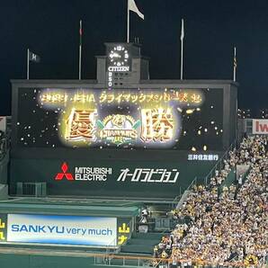 阪神 vs ヤクルト 5/19（日）アイビーシート3連番「通路側席含む」雨天補償あり！の画像4