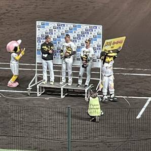 阪神 vs ヤクルト 5/19（日）アイビーシート3連番「通路側席含む」雨天補償あり！の画像3