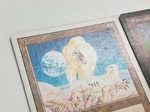 sA256o [まとめ] MTG 無色 アーティファクト 計8枚 Winter Orb Emerald Medallion トリスケリオン 巻物棚 水蓮の花びら 他_画像8