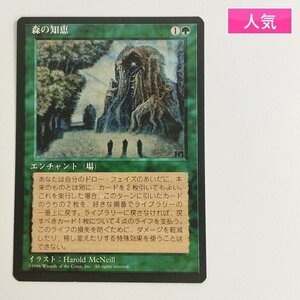 sC729o [人気] MTG 森の知恵 Sylvan Library 第4版 4ED 日本語版