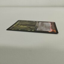 sC735o [人気] MTG Foil 邪神カローナ Karona False God スカージ SCG 日本語版_画像4