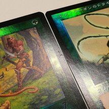 sB365o [人気] MTG 緑 Foil ラノワールのエルフ クウィリーオンのドライアド 総体の知識 ザンティッドの大群 日本語版 計4枚_画像8