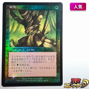 sB369o [人気] MTG Foil 繁茂 Wild Growth 第7版 7ED 日本語版