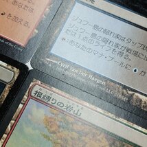 sC626s [大量] MTG 土地 計100枚 沈んだ廃墟 永岩城 放棄された聖域 穢れた果樹園 ジャングルのうろ穴 他_画像9