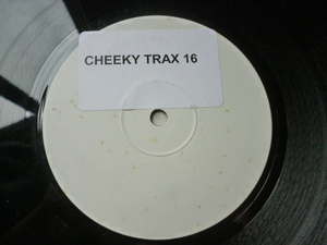 Cheeky Trax / Cheeky Trax 16 ハード・プログレッシブ・サウンド 12 f Degrees Of Motion / Do You Want It Right Now ネタ 試聴