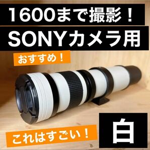 1600まで見える！SONYカメラをお持ちの方におすすめ！白！望遠レンズ！高評価！思い出を残そう！カメラ初心者安心サポート付き！