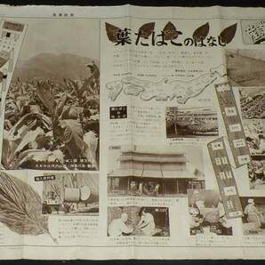 日本写真新聞 昭和32年7月8日第39号 産業教室 葉たばこのはなし/日本専売公社の画像1