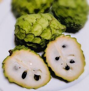 おすすめ！沖縄本島産 高級フルーツ、アテモヤの種子10粒