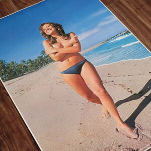 ヴィンテージ／特大サイズ／オールドポスター／17 砂浜と水着の女性