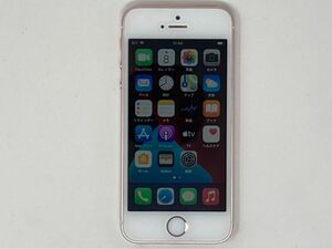 Apple iPhone SE (第1世代) 128GB [ローズゴールド] 本体