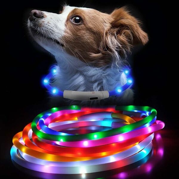 【レッド.L】PetGround 犬 光る首輪 USB 充電式 LED ライト サイズ調整可 柔らかい 中型犬 大型犬 70cm