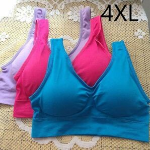 ジニエブラ ビビッドカラー 4XL(XXXL) 3枚 セット ジニエ スポーツブラ ナイトブラ マタニティー 授乳 育乳 インナーウェア genie bra