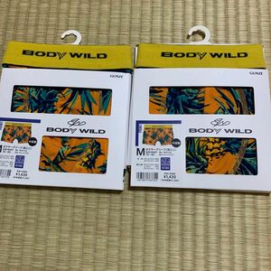 GUNZE (グンゼ) BODY WILD (FASHION) ボクサーブリーフ [全2色×2サイズ] 