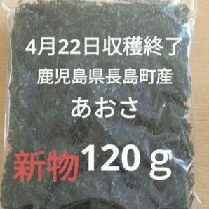 4月22日収穫終了 鹿児島県長島町産 あおさ あおさのり 乾燥あおさ