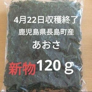 4月22日収穫終了 鹿児島県長島町産 あおさ あおさのり 乾燥あおさ