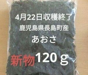 4月22日収穫終了 鹿児島県長島町産 あおさ あおさのり 乾燥あおさ