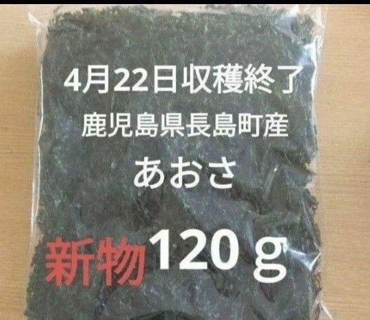 4月22日収穫終了 鹿児島県長島町産 あおさ あおさのり 乾燥あおさ