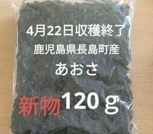 4月22日収穫終了 鹿児島県長島町産 あおさ あおさのり 乾燥あおさ