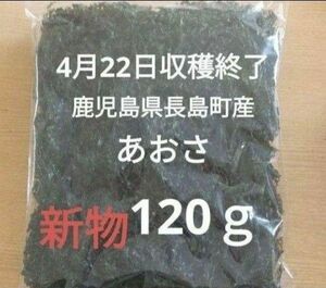 4月22日収穫終了 鹿児島県長島町産 あおさ あおさのり 乾燥あおさ